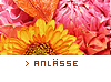 Anl&auml;sse
